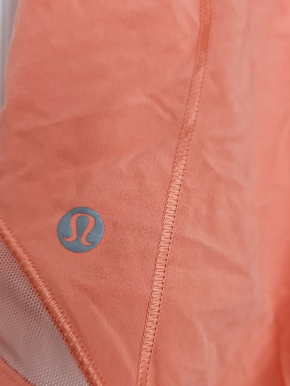 389. Lululemon Hotty Hots Shorts